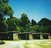 Katoomba Falls Caravan Park - Accommodation Gladstone