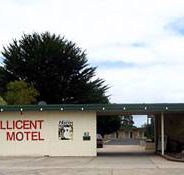 Millicent Motel - Accommodation Gladstone
