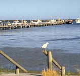 Seaview Motel and Holiday Units - Accommodation Gladstone