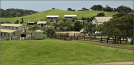 Cape Schanck VIC Accommodation Gladstone