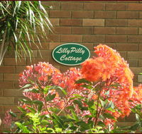 Lillypilly - Accommodation Gladstone