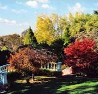 Edgelinks Bed And Breakfast - Accommodation Gladstone