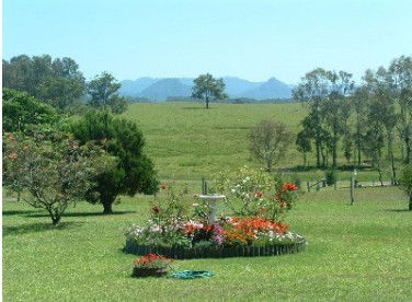 Tallowood Ridge Farmstay B - Accommodation Gladstone 3