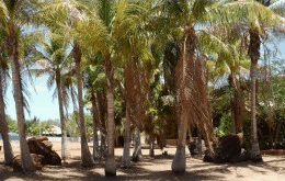 King Sound Resort Hotel - Accommodation Gladstone