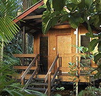 Cape Trib Beach House - Accommodation Gladstone