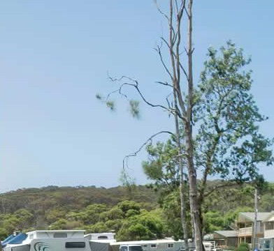 Merry Beach Caravan Park - Accommodation Gladstone 2