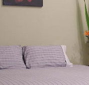 Stingo Hotel - Accommodation Gladstone