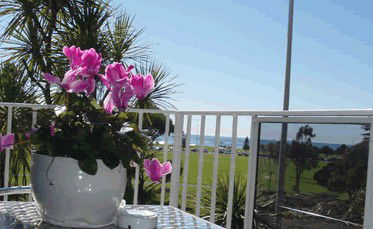 Beach Park Motor Inn - Accommodation Gladstone 3