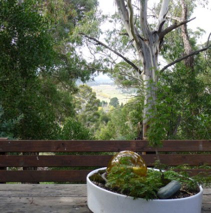Jindabyne NSW Accommodation Gladstone