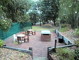 Collie Forest Motel - Accommodation Gladstone 4