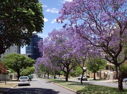 Mountway Holiday Apartments - Accommodation Gladstone 3