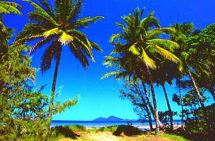 Mission Beach Rainforest Motel - Accommodation Gladstone 1