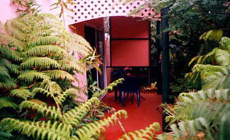 Mission Beach Rainforest Motel - Accommodation Gladstone 4