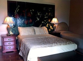 Daintree Manor - Accommodation Gladstone 0