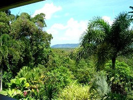 Daintree Manor - Accommodation Gladstone 3