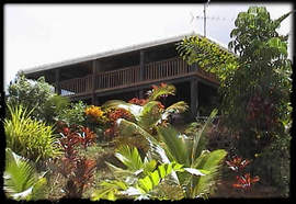 Daintree Manor - Accommodation Gladstone 5