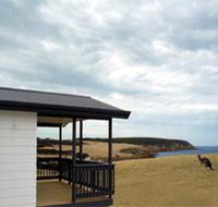 Waves and Wildlife - Accommodation Gladstone