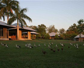 Jingili NT Accommodation Gladstone