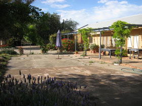 Peechabella Vineyards Bed & Breakfast - Accommodation Gladstone 0