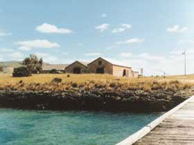 Mt Dutton Bay Woolshed Hostel - Accommodation Gladstone 0
