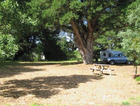 Millicent Hillview Caravan Park - Accommodation Gladstone 1