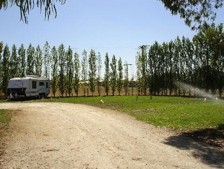 Penola Caravan Park - Accommodation Gladstone 2