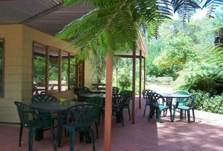Rainforest Retreat - Accommodation Gladstone 1