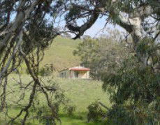 Saunders Gorge Sanctuary - Hideaway Cottage - Accommodation Gladstone 1