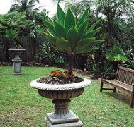 Bangalow Retreat - Accommodation Gladstone