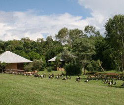 Feathers Sanctuary - Accommodation Gladstone 3