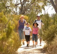 Long Island Caravan Park Cabins - Accommodation Gladstone