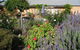 Peechabella Vineyards Bed & Breakfast - thumb 3