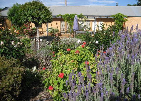 Peechabella Vineyards Bed & Breakfast - Accommodation Gladstone 3