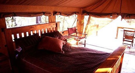 Jabiru Safari Lodge At Mareeba Wetlands - Accommodation Gladstone 1