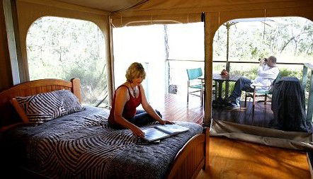 Jabiru Safari Lodge At Mareeba Wetlands - Accommodation Gladstone 2