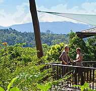 Rose Gums Wilderness Retreat - Accommodation Gladstone