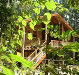 Rivers Edge Rainforest Retreat - Accommodation Gladstone