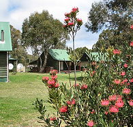 Derwent Bridge Chalets and Studios - Accommodation Gladstone