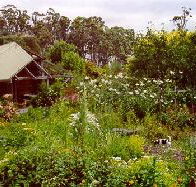 Plovers Ridge Country Retreat - Accommodation Gladstone