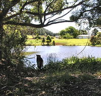 Newry Park Cottage - Accommodation Gladstone