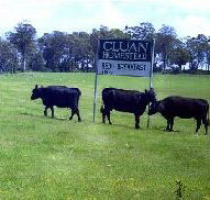 Cluan Homestead - The Managers Residence - Accommodation Gladstone