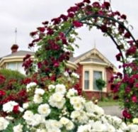 Golden Embers Apartments and B and B - Accommodation Gladstone