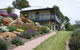 Protea Hill - thumb 0