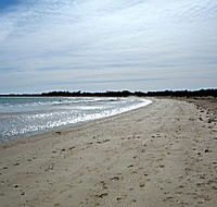 Greens Beach Caravan Park - Accommodation Gladstone