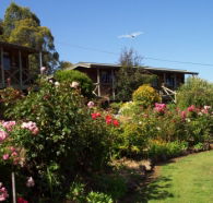 Mole Creek Holiday Village - Accommodation Gladstone