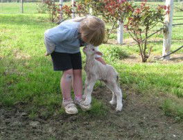 Taras Richmond Farmstay - Accommodation Gladstone 3