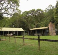 Tree Fern Lodge - Accommodation Gladstone
