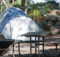 Booderee National Park - Accommodation Gladstone