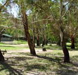 Woods Reserve - Accommodation Gladstone