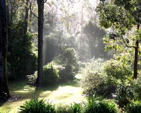 The Bawley Bed And Breakfast - Accommodation Gladstone 2